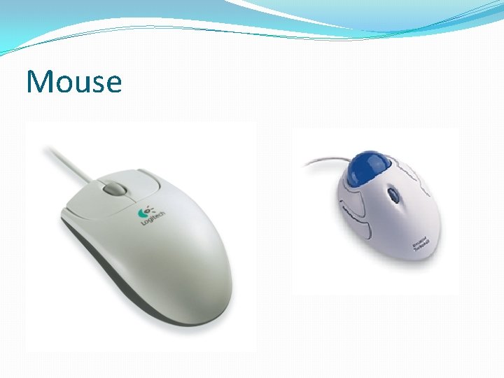 Mouse 