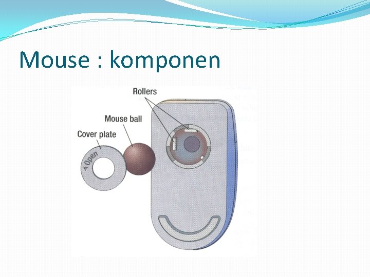 Mouse : komponen 