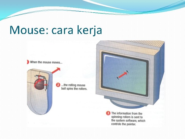 Mouse: cara kerja 