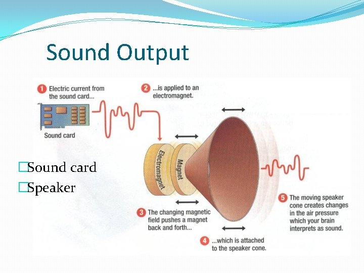 Sound Output �Sound card �Speaker 