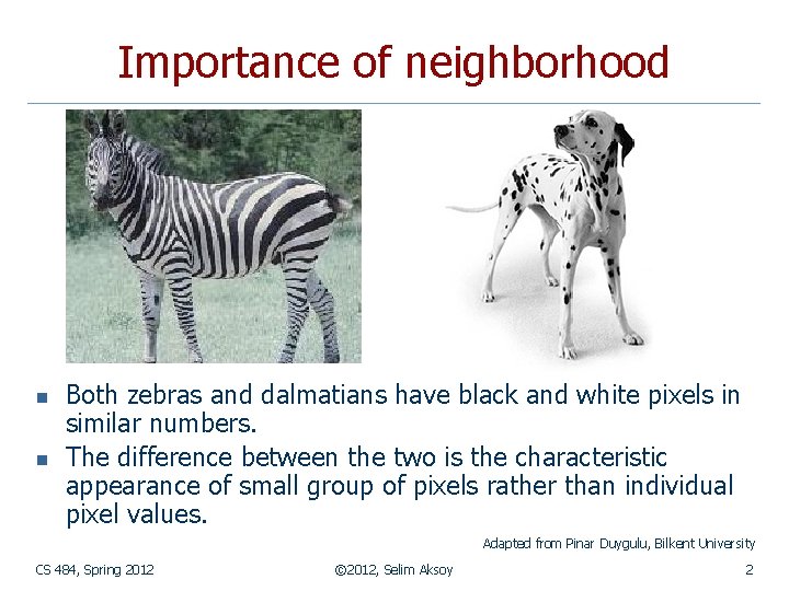 Importance of neighborhood n n Both zebras and dalmatians have black and white pixels