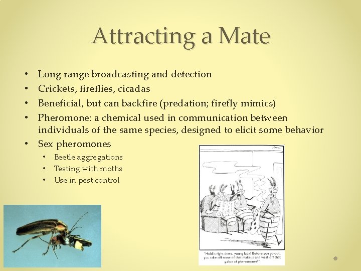 Attracting a Mate Long range broadcasting and detection Crickets, fireflies, cicadas Beneficial, but can Attracting a Mate Long range broadcasting and detection Crickets, fireflies, cicadas Beneficial, but can