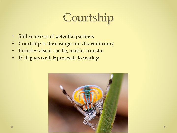 Courtship • • Still an excess of potential partners Courtship is close-range and discriminatory Courtship • • Still an excess of potential partners Courtship is close-range and discriminatory