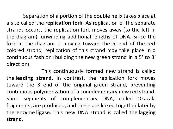  Separation of a portion of the double helix takes place at a site