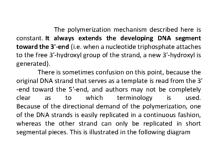  The polymerization mechanism described here is constant. It always extends the developing DNA