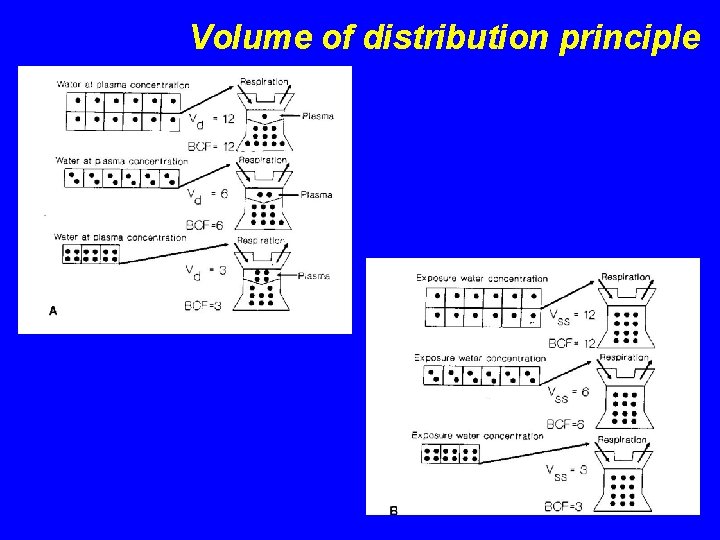Volume of distribution principle 
