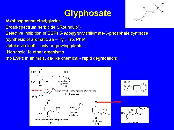 Glyphosate N-(phosphonomethyl)glycine Broad-spectrum herbicide („Round. Up“) Selective inhibition of ESPs 5 -enolpyruvylshikimate-3 -phosphate synthase;