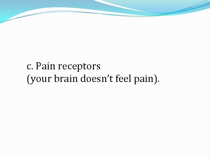 c. Pain receptors (your brain doesn’t feel pain). 