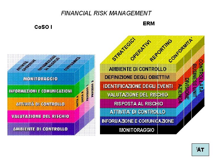 FINANCIAL RISK MANAGEMENT Co. SO I ERM 11 AT 