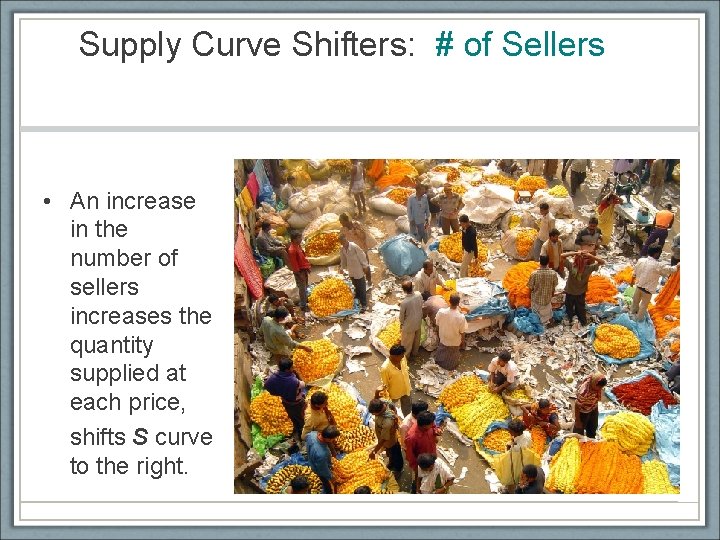 Supply Curve Shifters: # of Sellers • An increase in the number of sellers