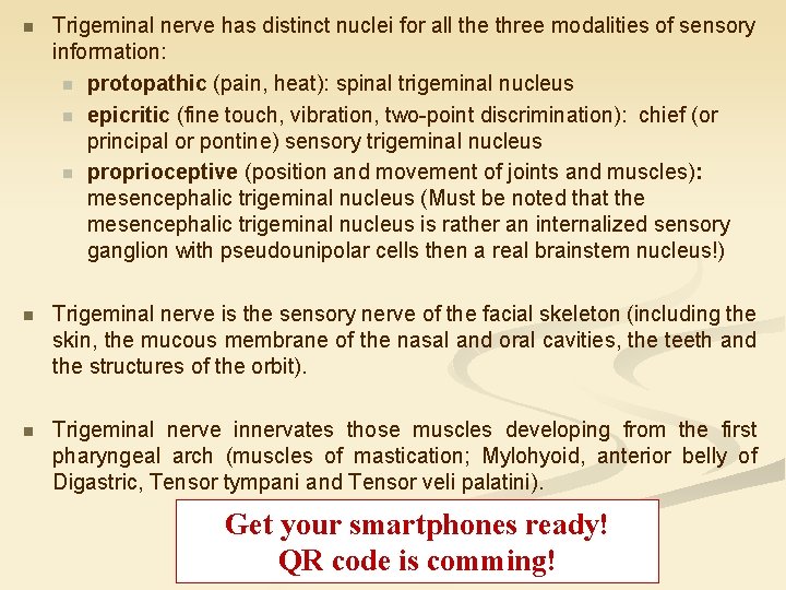 n Trigeminal nerve has distinct nuclei for all the three modalities of sensory information: