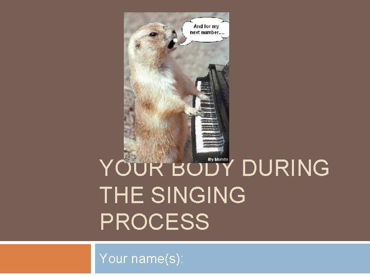 YOUR BODY DURING THE SINGING PROCESS Your name(s): 