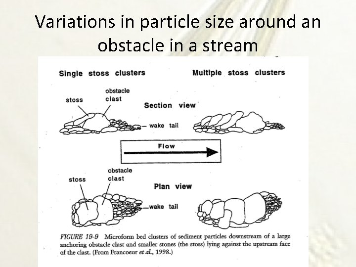 Variations in particle size around an obstacle in a stream 