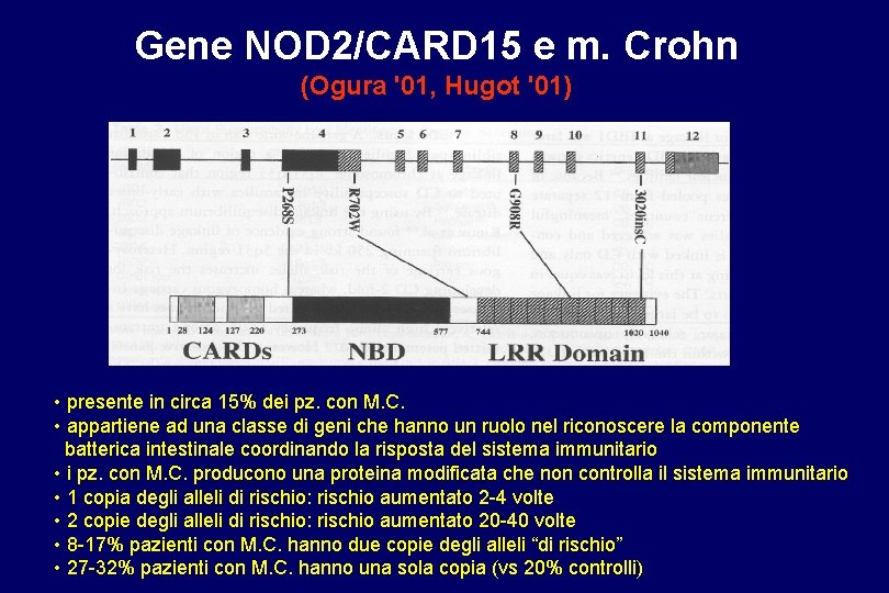 Gene NOD 2/CARD 15 e m. Crohn (Ogura '01, Hugot '01) • presente in