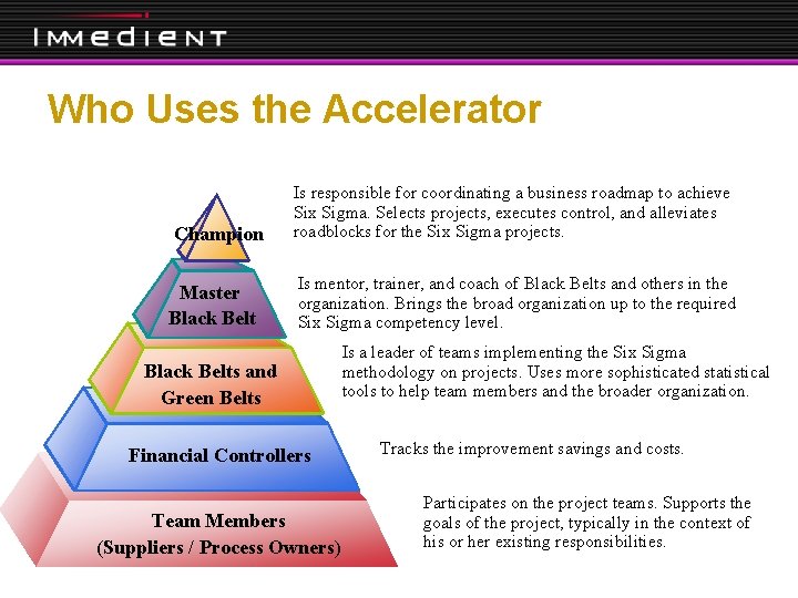 Who Uses the Accelerator Champion Master Black Belt Is responsible for coordinating a business