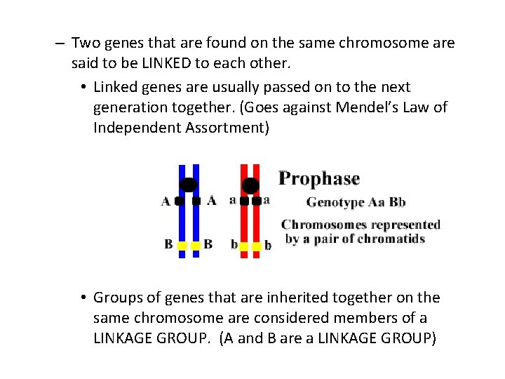 – Two genes that are found on the same chromosome are said to be