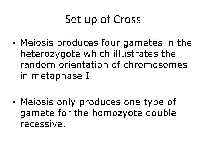 Set up of Cross • Meiosis produces four gametes in the heterozygote which illustrates