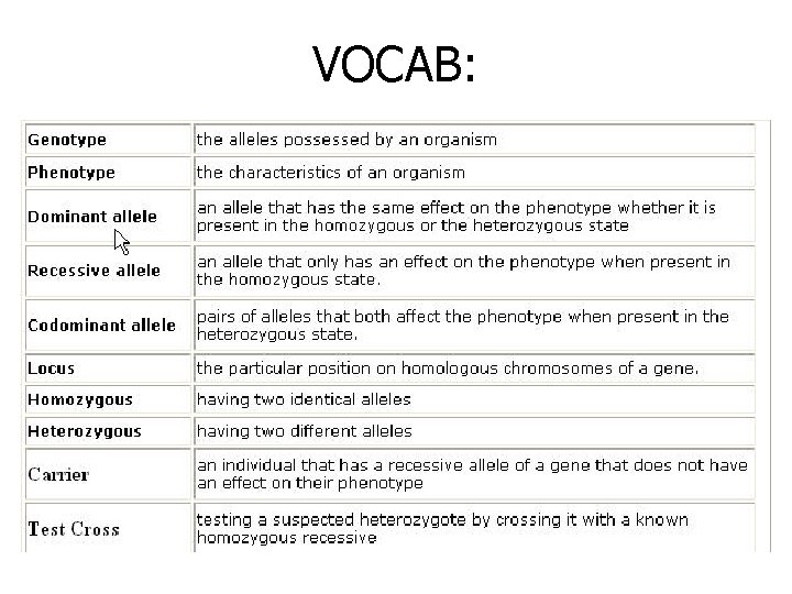 VOCAB: 