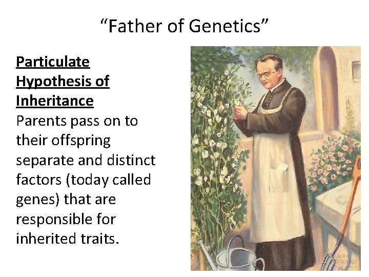 “Father of Genetics” Particulate Hypothesis of Inheritance Parents pass on to their offspring separate