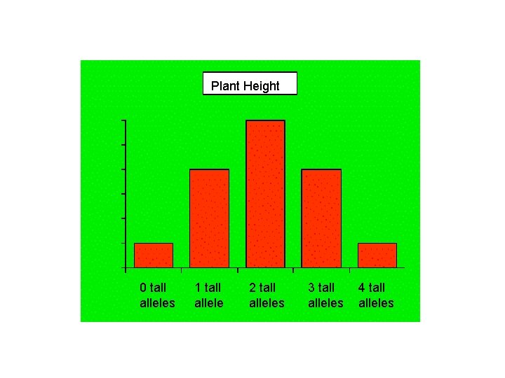 Plant Height 0 tall alleles 1 tall allele 2 tall alleles 3 tall alleles