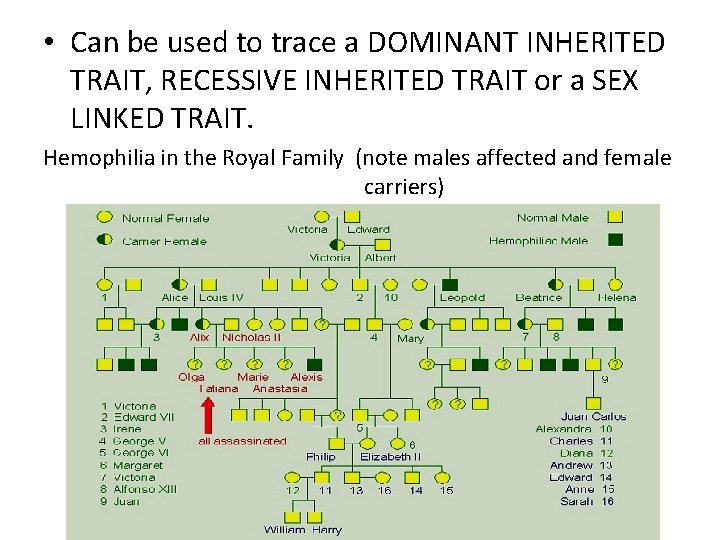  • Can be used to trace a DOMINANT INHERITED TRAIT, RECESSIVE INHERITED TRAIT