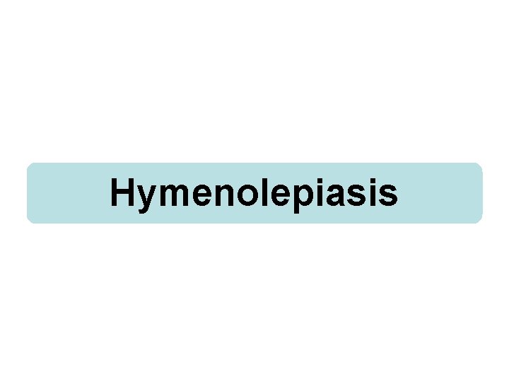 Hymenolepiasis 