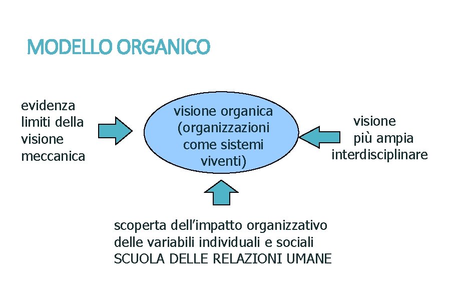 MODELLO ORGANICO evidenza limiti della visione meccanica visione organica (organizzazioni come sistemi viventi) visione