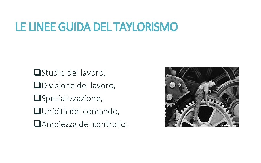 LE LINEE GUIDA DEL TAYLORISMO q. Studio del lavoro, q. Divisione del lavoro, q.