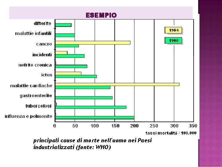 ESEMPIO principali cause di morte nell'uomo nei Paesi industrializzati (fonte: WHO) ESEMPIO principali cause di morte nell'uomo nei Paesi industrializzati (fonte: WHO)