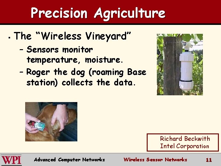 Precision Agriculture § The “Wireless Vineyard” – Sensors monitor temperature, moisture. – Roger the