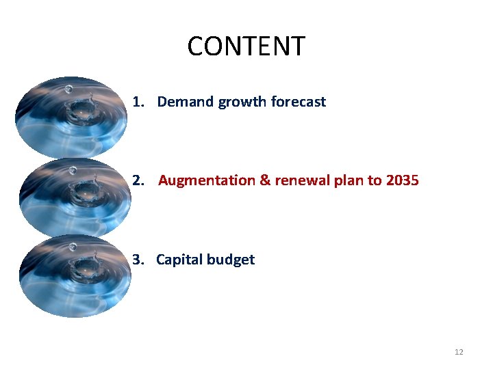 CONTENT 1. Demand growth forecast 2. Augmentation & renewal plan to 2035 3. Capital