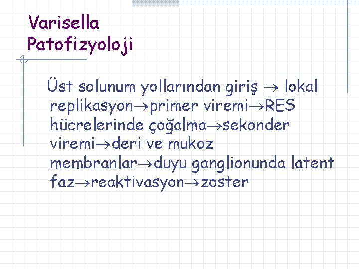 Varisella Patofizyoloji Üst solunum yollarından giriş lokal replikasyon primer viremi RES hücrelerinde çoğalma sekonder