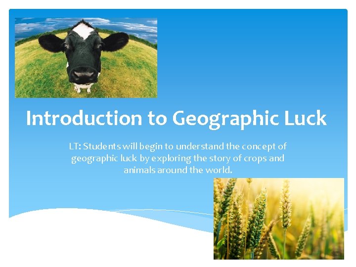 Introduction to Geographic Luck LT: Students will begin to understand the concept of geographic
