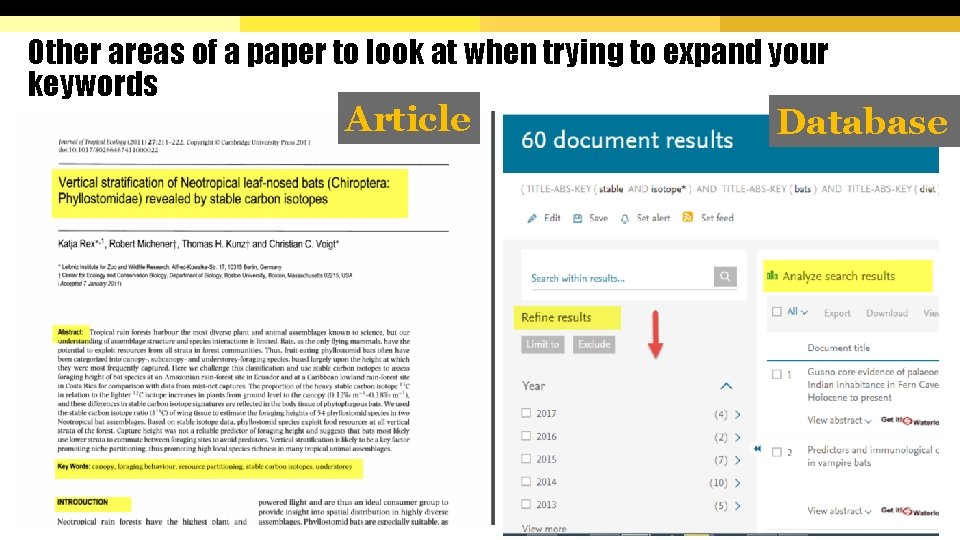 Other areas of a paper to look at when trying to expand your keywords