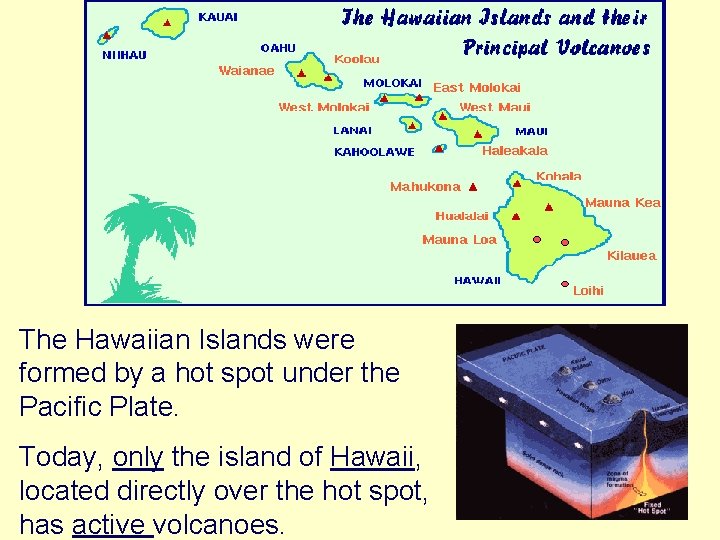 The Hawaiian Islands were formed by a hot spot under the Pacific Plate. Today,