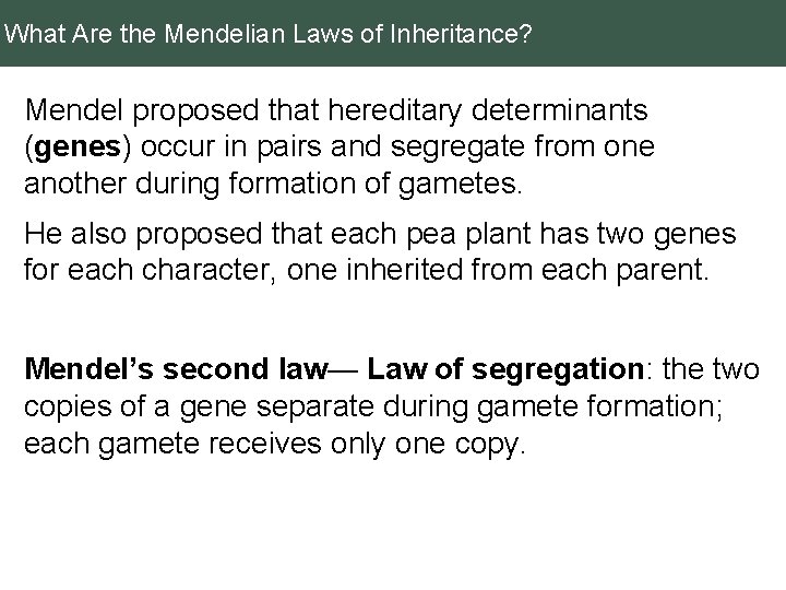 What Are the Mendelian Laws of Inheritance? Mendel proposed that hereditary determinants (genes) occur