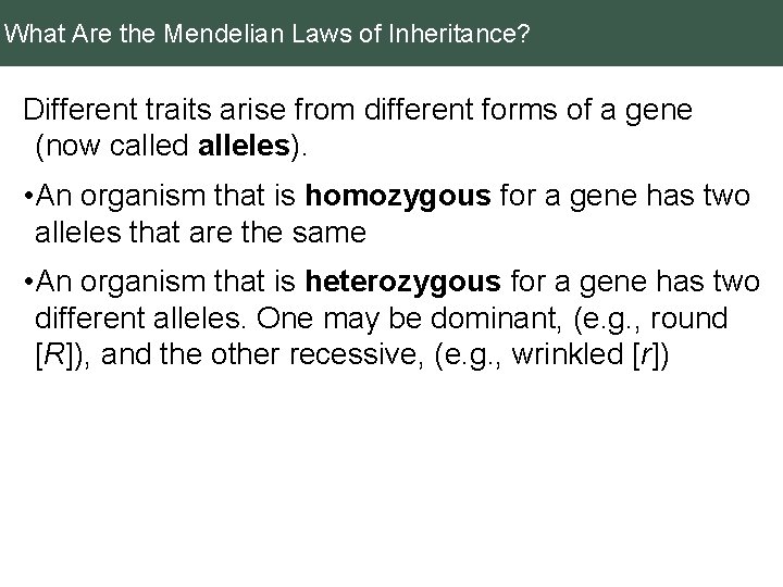 What Are the Mendelian Laws of Inheritance? Different traits arise from different forms of