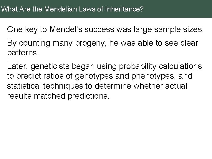 What Are the Mendelian Laws of Inheritance? One key to Mendel’s success was large