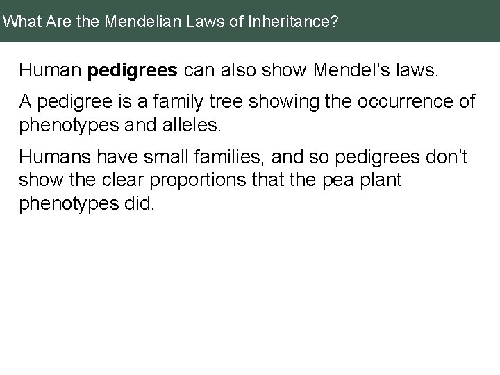 What Are the Mendelian Laws of Inheritance? Human pedigrees can also show Mendel’s laws.