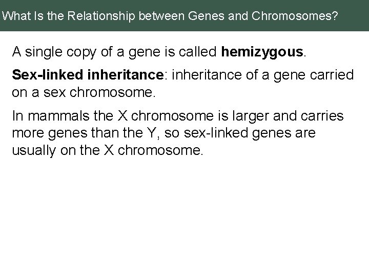 What Is the Relationship between Genes and Chromosomes? A single copy of a gene