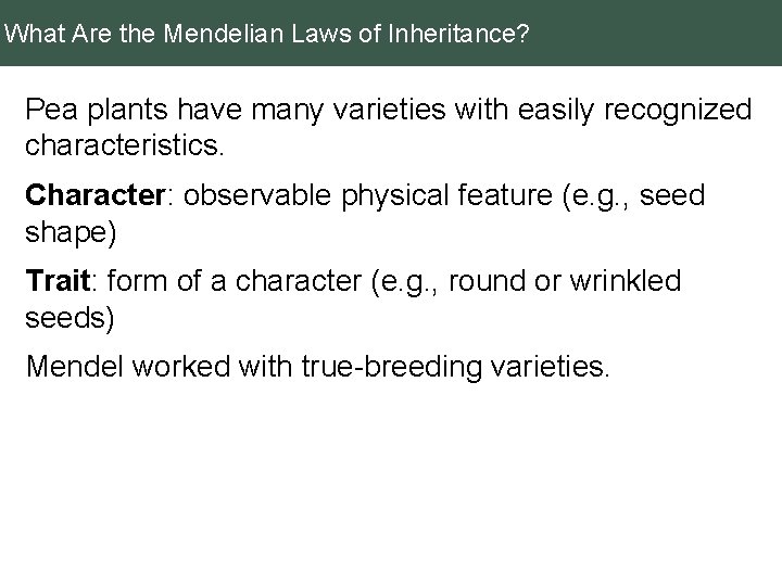 What Are the Mendelian Laws of Inheritance? Pea plants have many varieties with easily