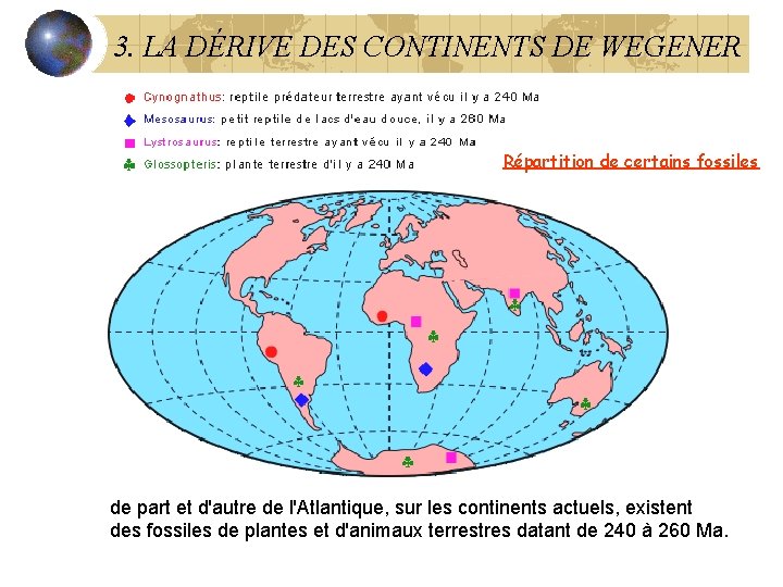 3. LA DÉRIVE DES CONTINENTS DE WEGENER Répartition de certains fossiles de part et