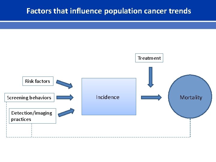 Factors that influence population cancer trends Treatment Risk factors Screening behaviors Detection/imaging practices Incidence
