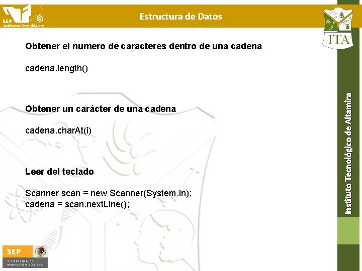 Estructura de Datos Obtener el numero de caracteres dentro de una cadena Obtener un