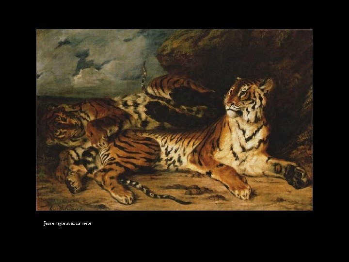 Jeune tigre avec sa mère 