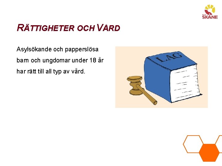 RÄTTIGHETER OCH VÅRD Asylsökande och papperslösa barn och ungdomar under 18 år har rätt