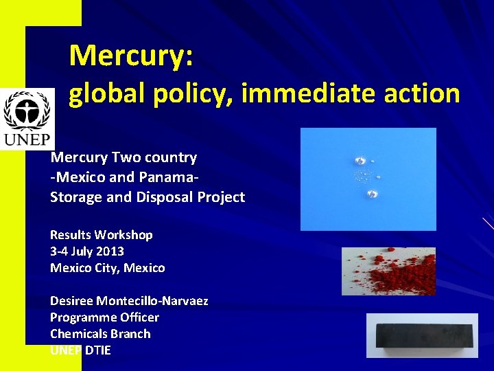 Mercury: global policy, immediate action Mercury Two country -Mexico and Panama. Storage and Disposal