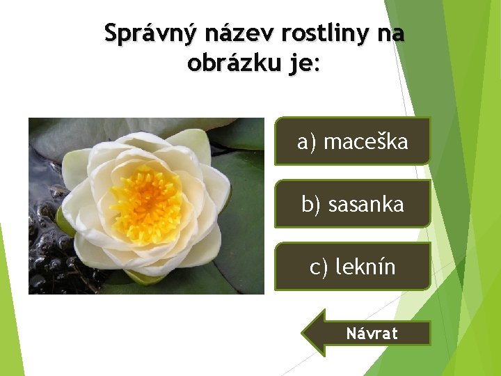 Správný název rostliny na obrázku je: a) maceška b) sasanka c) leknín Návrat Správný název rostliny na obrázku je: a) maceška b) sasanka c) leknín Návrat