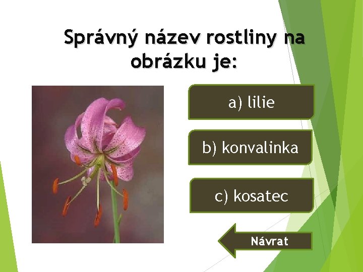 Správný název rostliny na obrázku je: a) lilie b) konvalinka c) kosatec Návrat Správný název rostliny na obrázku je: a) lilie b) konvalinka c) kosatec Návrat