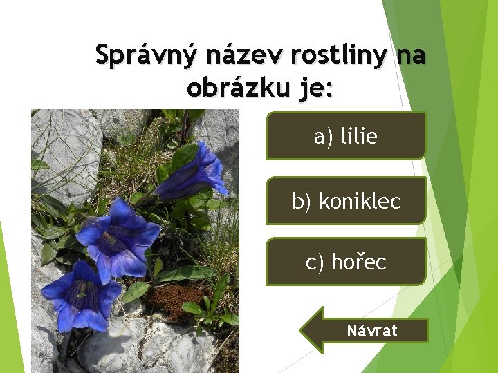 Správný název rostliny na obrázku je: a) lilie b) koniklec c) hořec Návrat Správný název rostliny na obrázku je: a) lilie b) koniklec c) hořec Návrat